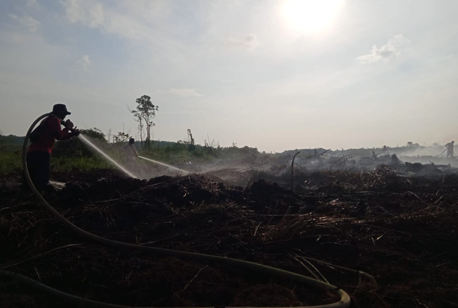 Sekitar 1.985 Titik Panas Terpantau di Seluruh wilayah Kalbar