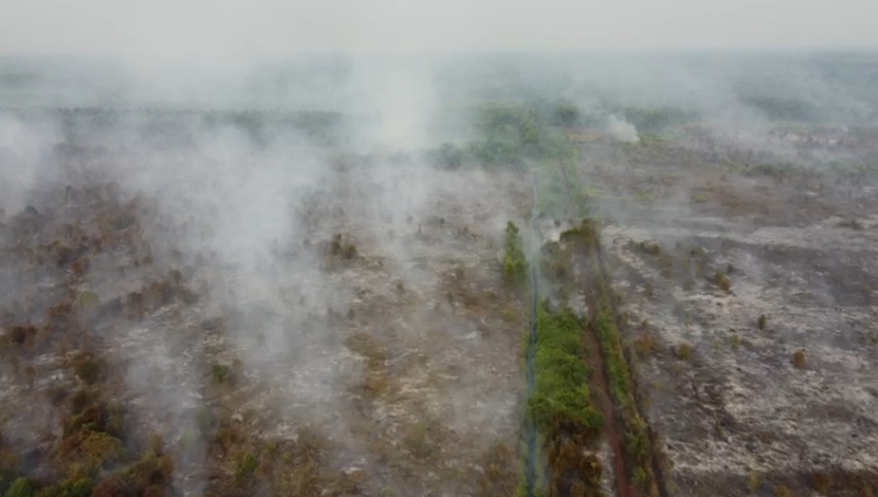 Pemuda Kalbar Respon Polusi Asap Karhutla : Serukan Climate Action! Jilid #4