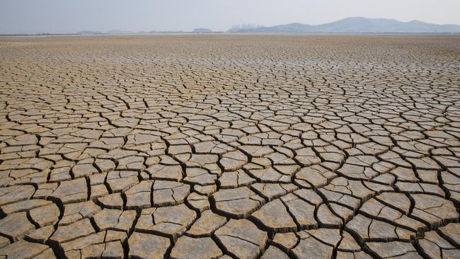 Beda dari BMKG, Cek Puncak dan Durasi El Nino Versi BRIN