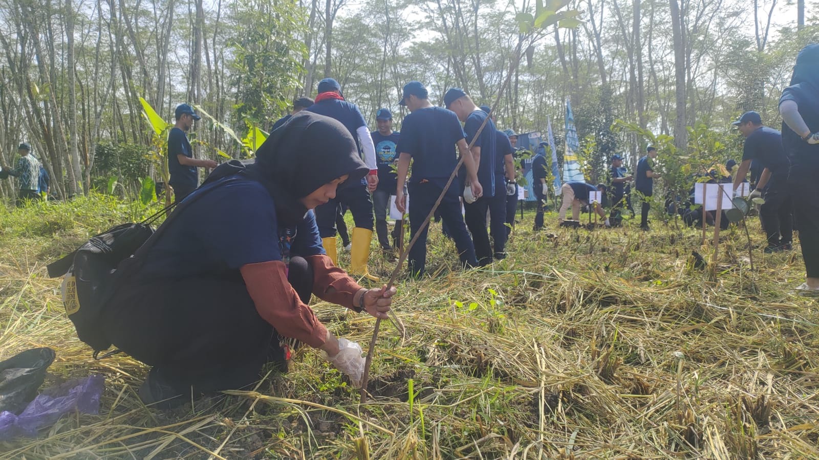 Penanaman 500 Bibit Pohon di Peringatan Hari Air Dunia ke-32 dengan Tema ‘Water for Peace’