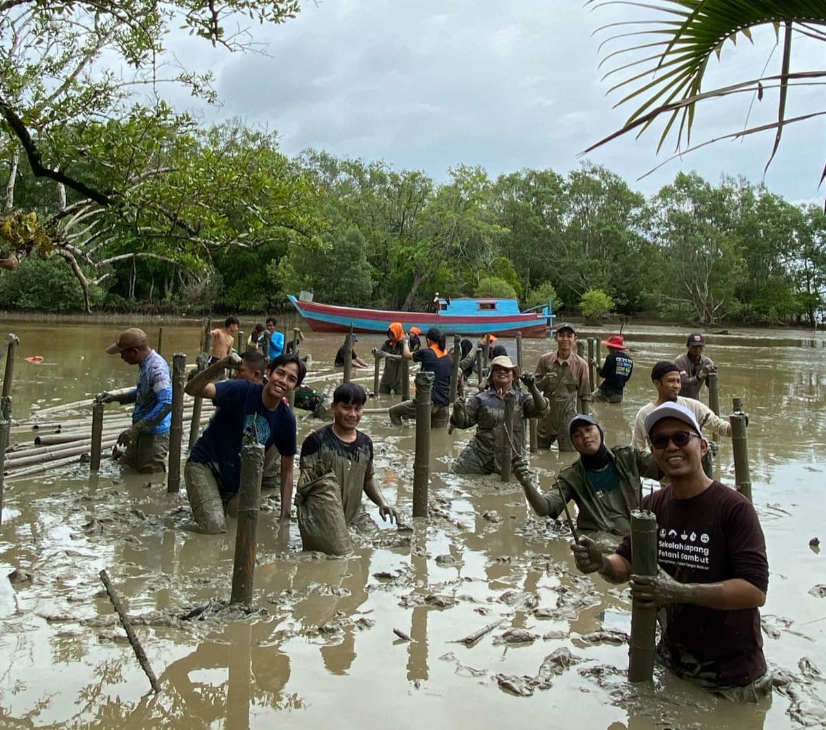 Gemawan Kolaborasi Sigap Love Mangrove dan Konservasi Borneo Mangrove Action 2024