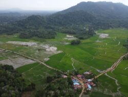 Merawat Budaya Pertanian Lokal