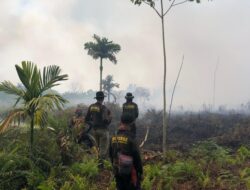 Karhutla Rasau Jaya Meluas, Petugas Berjuang di Lahan Gambut