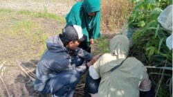 Ketika Perempuan Menjaga Sawah, Siapa yang Menjaga Mereka?