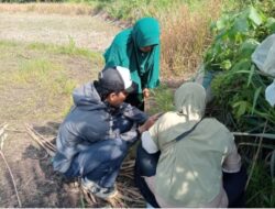 Ketika Perempuan Menjaga Sawah, Siapa yang Menjaga Mereka?