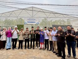 Panen Raya Melon ASMI Program Pemberdayaan Santri Munzalan Tunjukkan Hasil Nyata
